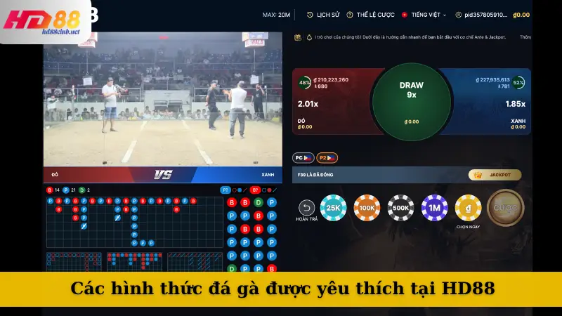 Các hình thức đá gà được yêu thích tại HD 88