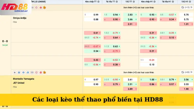 Các loại kèo thể thao phổ biến tại HD88