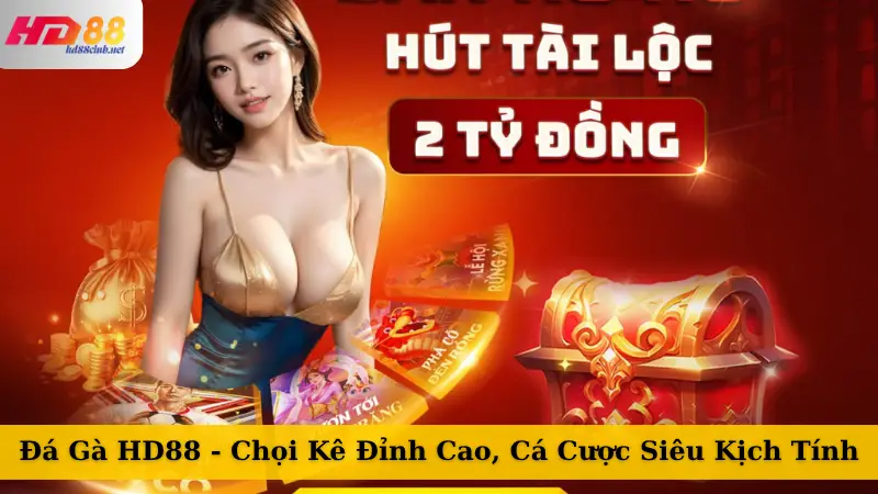Đá Gà HD88 - Chọi Kê Đỉnh Cao, Cá Cược Siêu Kịch Tính