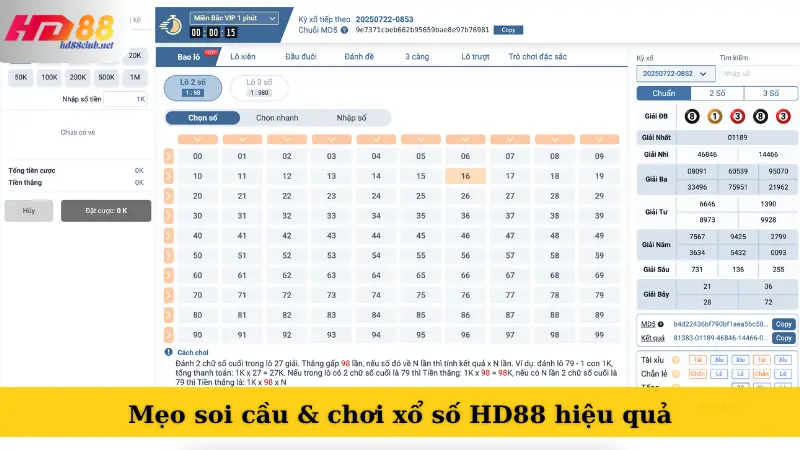 Mẹo soi cầu & chơi xổ số HD88 hiệu quả