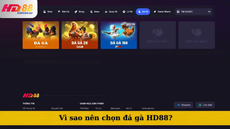 Vì sao nên chọn đá gà HD88?